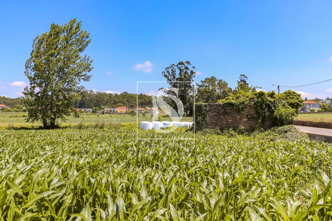 Moradia T2 para Venda em Cristelo Foto 8