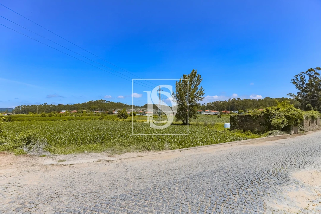 Moradia T2 para Venda em Cristelo Foto 28