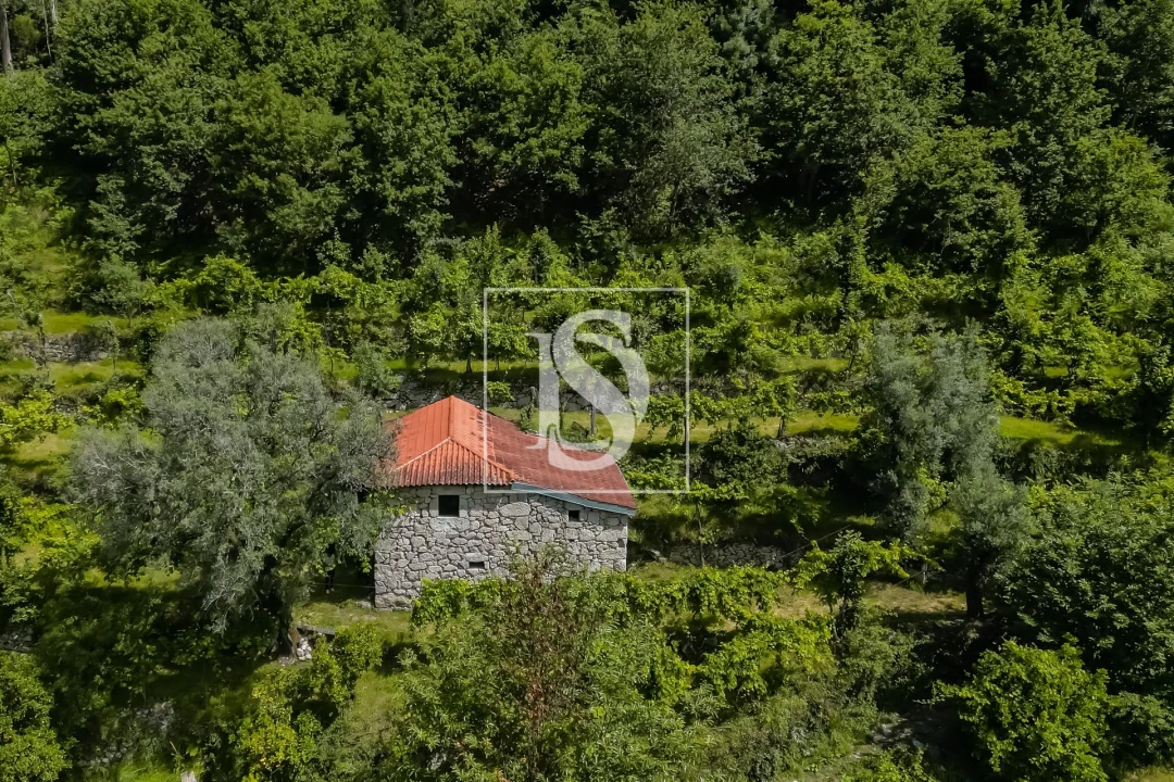 Moradia T2 para Venda em Carvalheira Foto 19