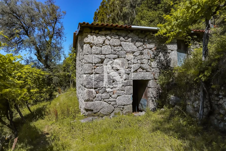 Moradia T2 para Venda em Carvalheira Foto 7