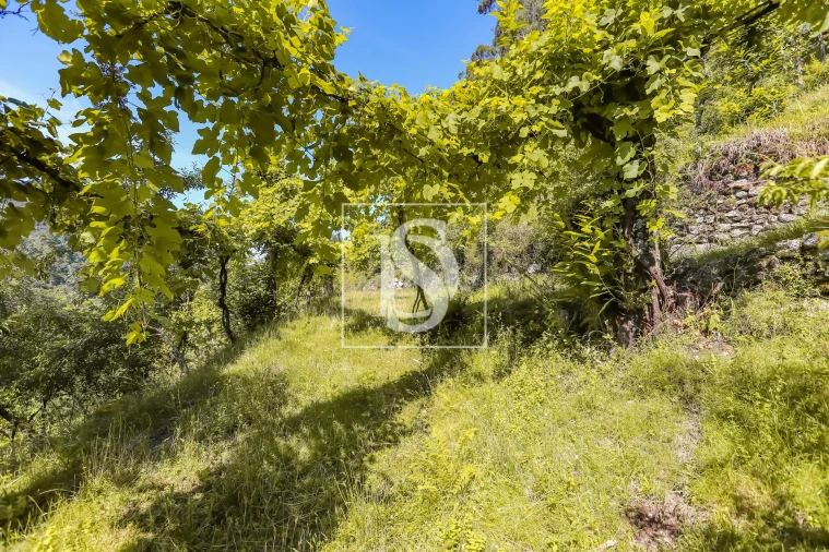 Moradia T2 para Venda em Carvalheira Foto 21