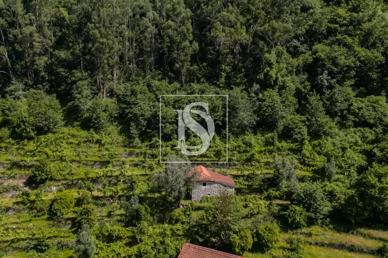 Moradia T2 para Venda em Carvalheira Foto 16