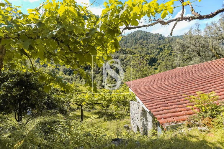 Moradia T2 para Venda em Carvalheira Foto 11