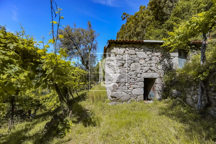 Moradia T2 para Venda em Carvalheira Foto 8