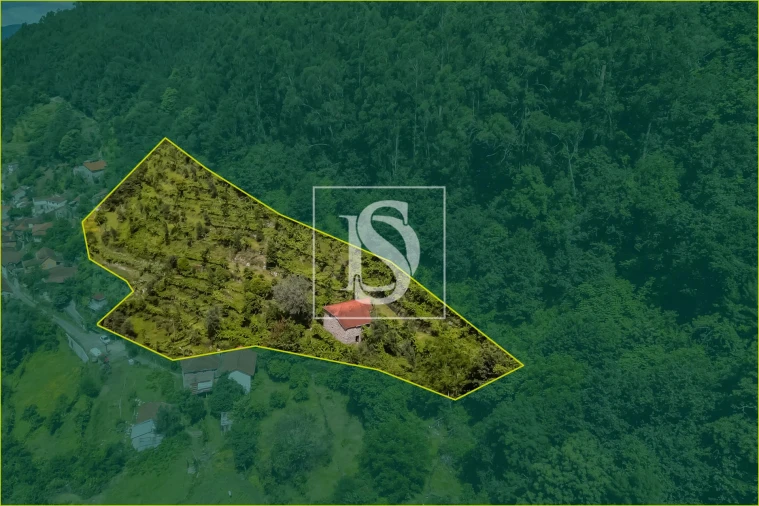 Moradia T2 para Venda em Carvalheira