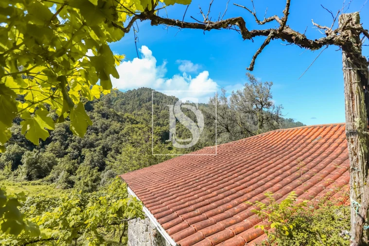 Moradia T2 para Venda em Carvalheira Foto 12