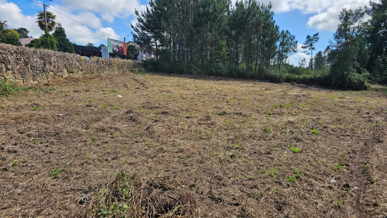 Terreno para Venda em Areias Foto 3