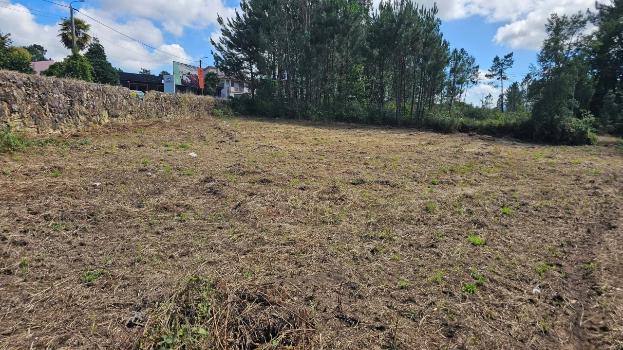 Terreno para Venda em Areias Foto 8