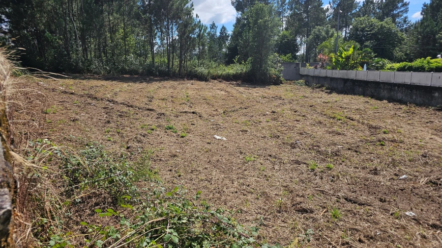 Terreno para Venda em Areias