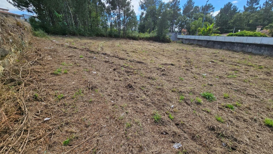 Terreno para Venda em Areias Foto 9