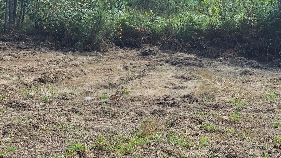 Terreno para Venda em Areias Foto 7
