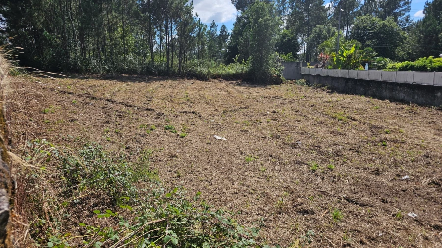 Terreno para Venda em Areias