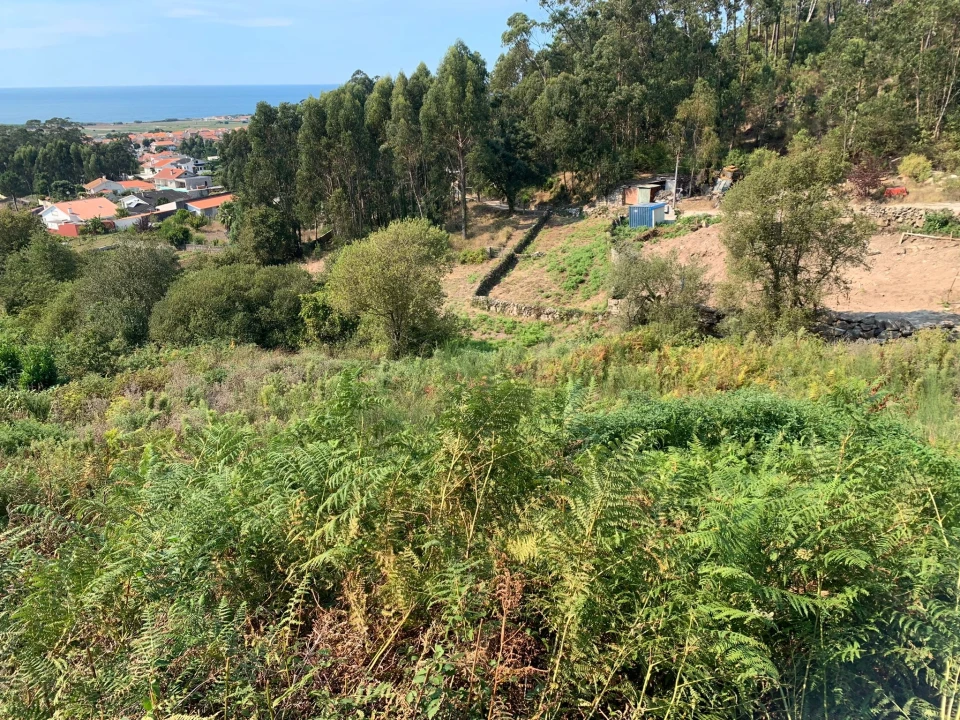 Terreno para Venda em Esposende, Marinhas e Gandra Foto 12