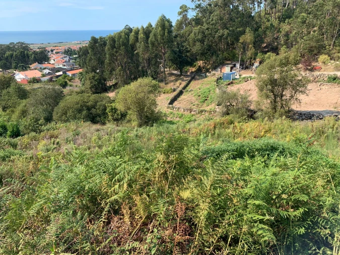 Terreno para Venda em Esposende, Marinhas e Gandra Foto 12