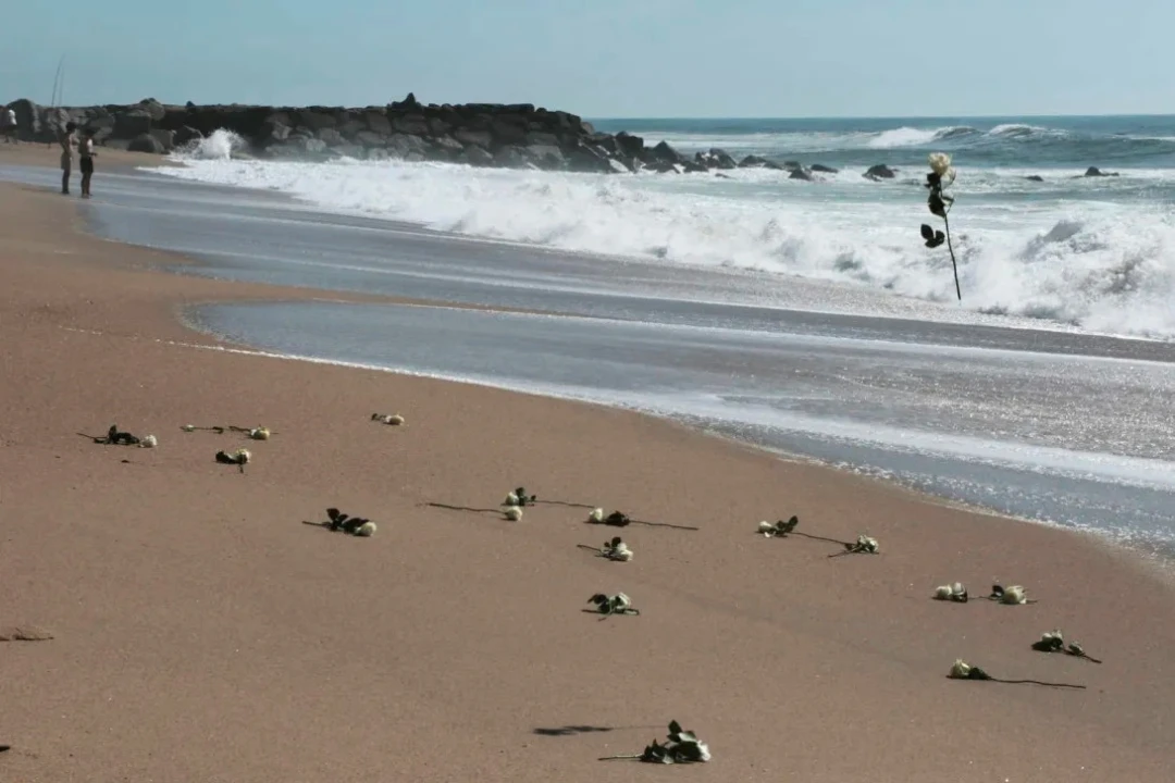 Apartamento T2 para Venda em Canidelo Foto 7