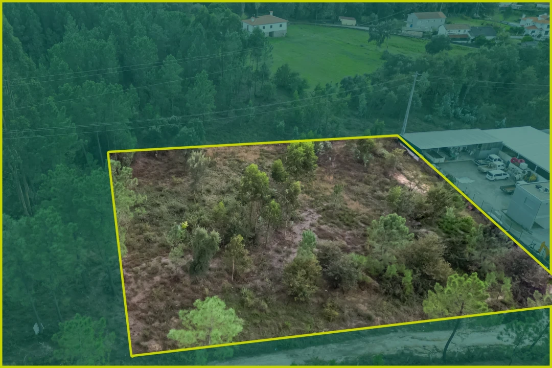 Terreno para Venda em Ucha Foto 8