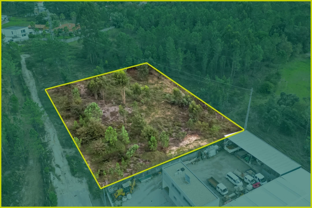 Terreno para Venda em Ucha Foto 9