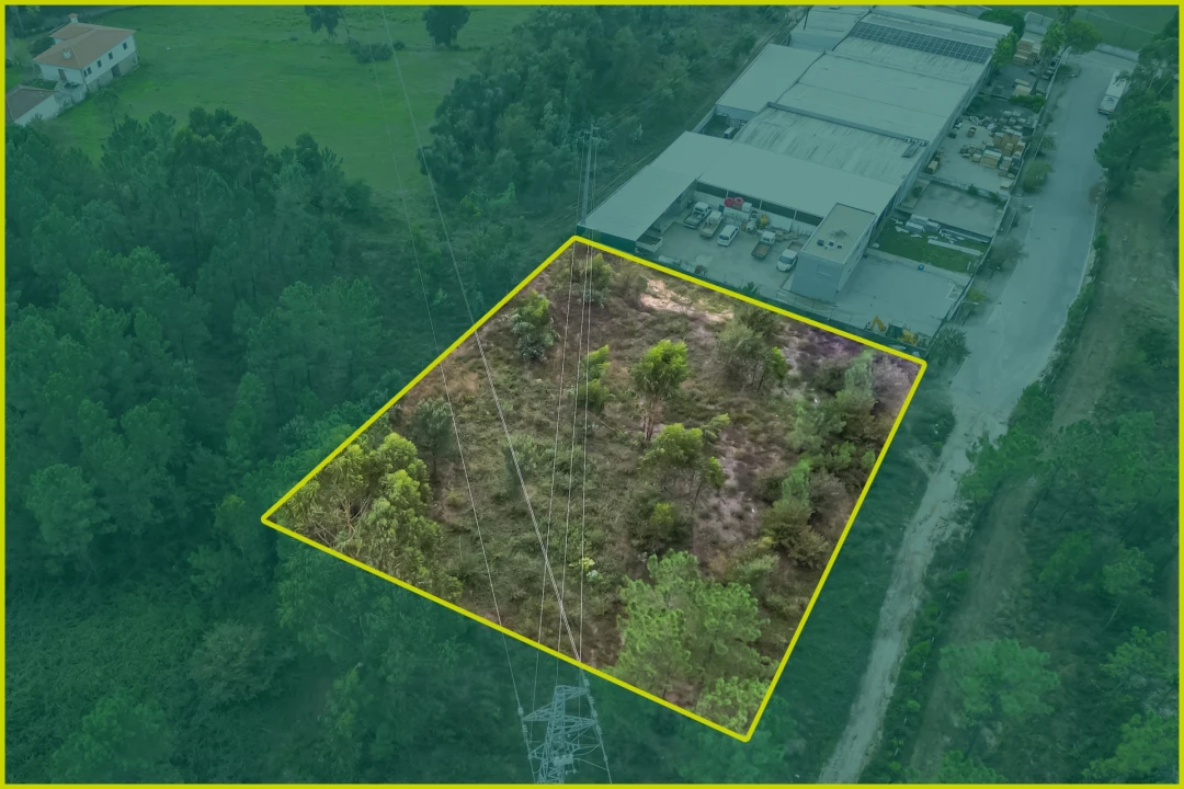 Terreno para Venda em Ucha Foto 6