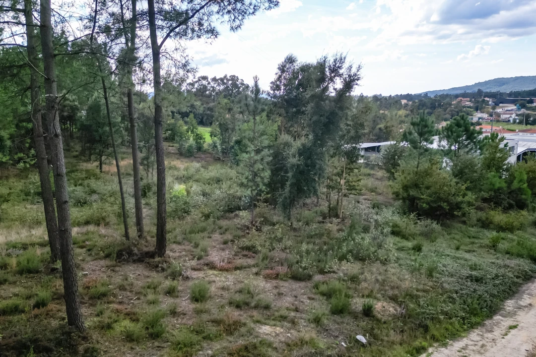 Terreno para Venda em Ucha Foto 21