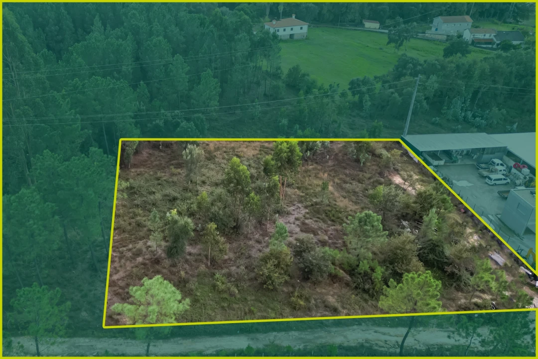 Terreno para Venda em Ucha Foto 11