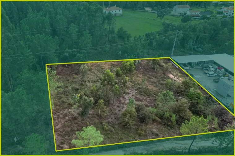 Terreno para Venda em Ucha Foto 8