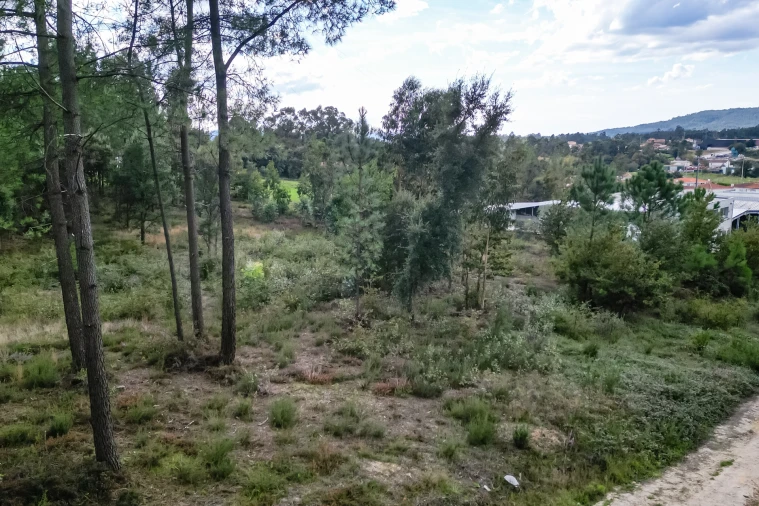 Terreno para Venda em Ucha Foto 21