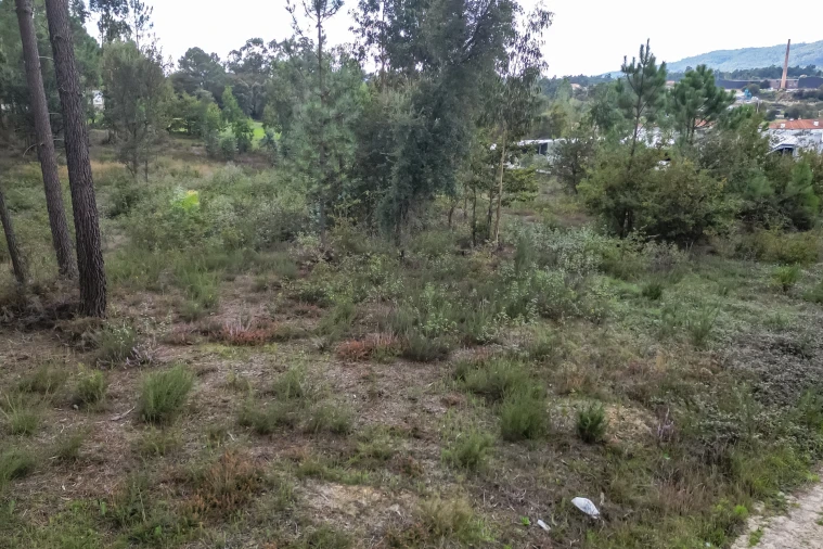 Terreno para Venda em Ucha Foto 20