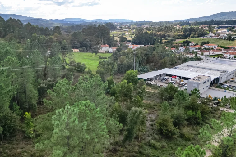 Terreno para Venda em Ucha Foto 16
