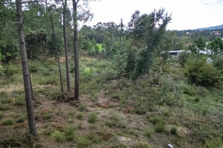 Terreno para Venda em Ucha Foto 22