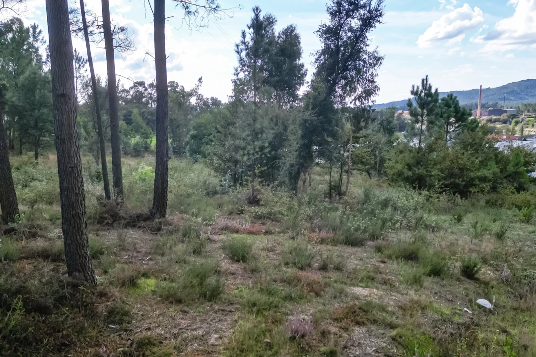 Terreno para Venda em Ucha Foto 18