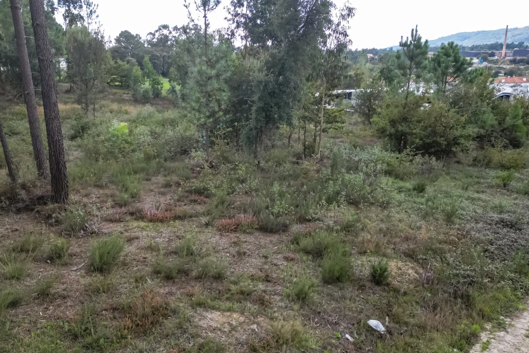 Terreno para Venda em Ucha Foto 20