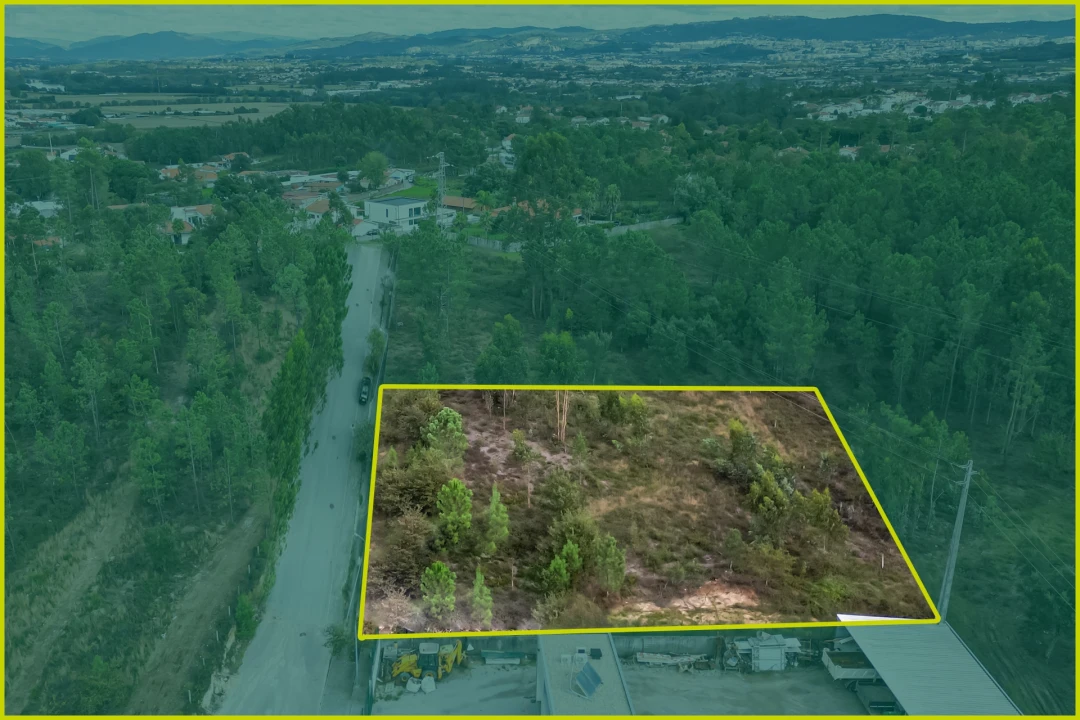 Terreno para Venda em Ucha Foto 7