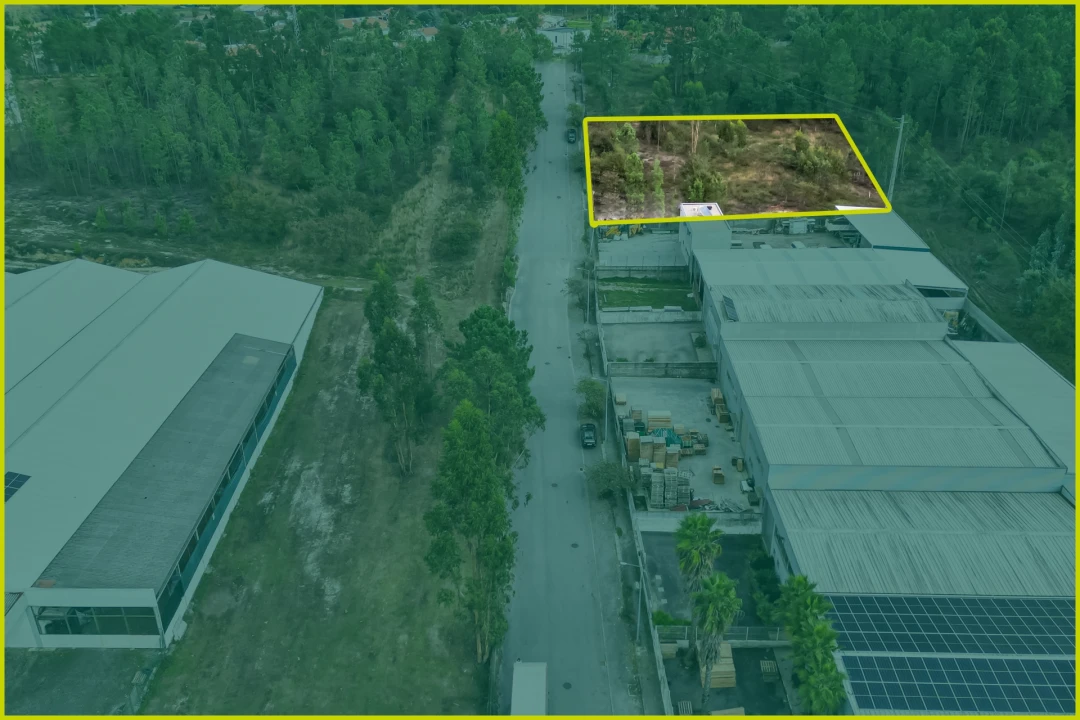 Terreno para Venda em Ucha Foto 4