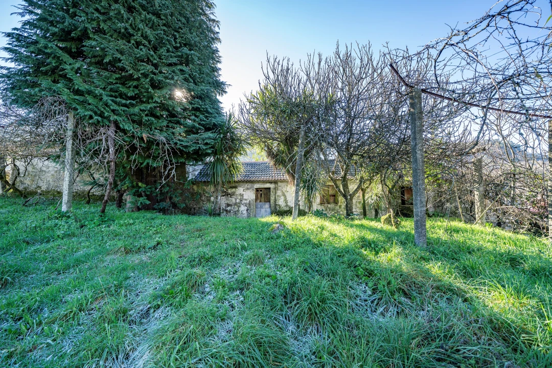 Quinta T13 para Venda em Rossas Foto 39