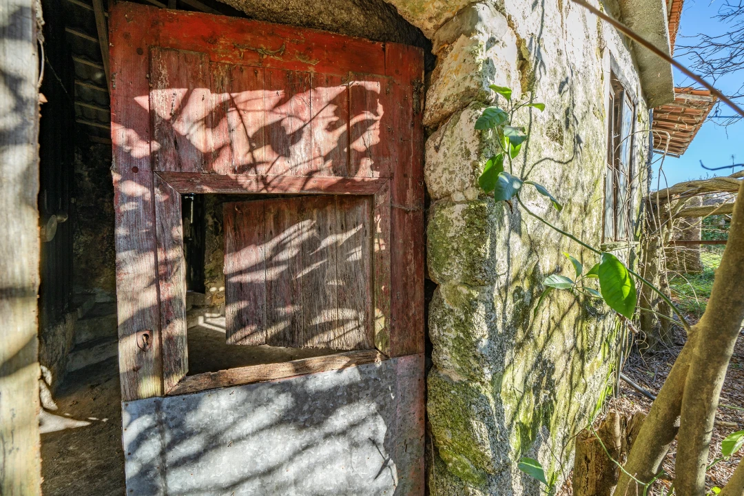 Quinta T13 para Venda em Rossas Foto 22