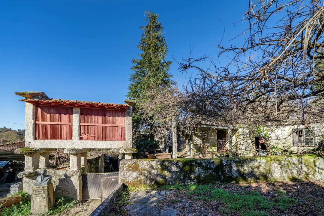 Quinta T13 para Venda em Rossas Foto 25