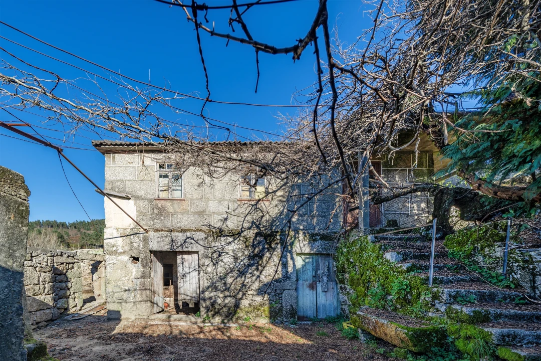 Quinta T13 para Venda em Rossas Foto 26