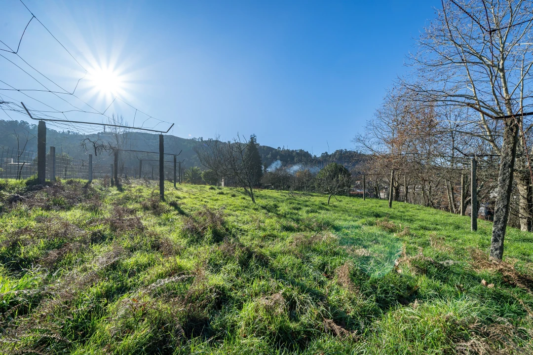 Quinta T13 para Venda em Rossas Foto 34