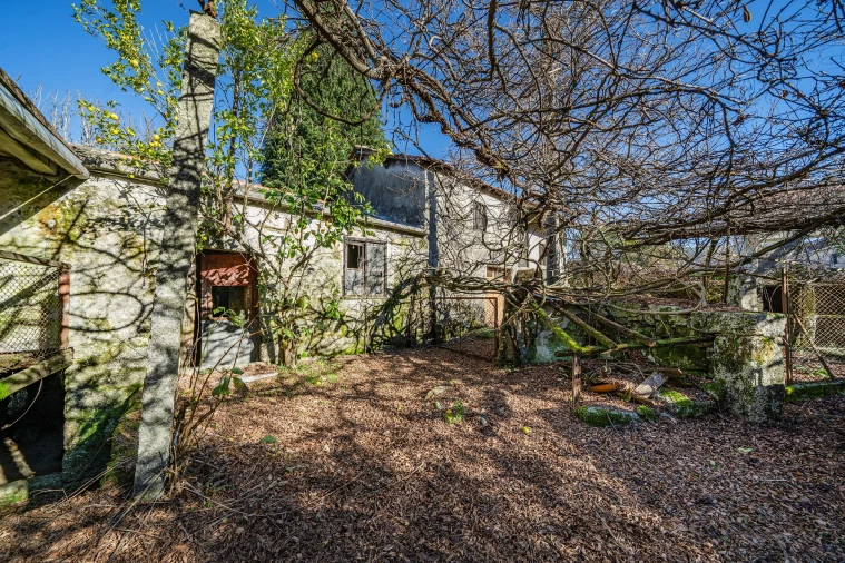 Quinta T13 para Venda em Rossas Foto 45