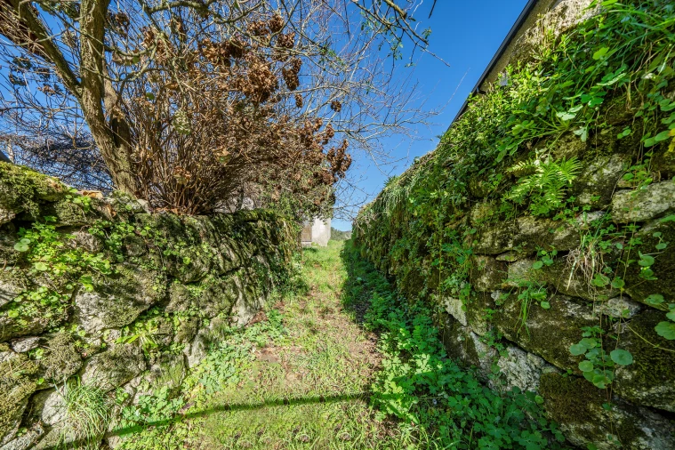 Quinta T13 para Venda em Rossas Foto 42