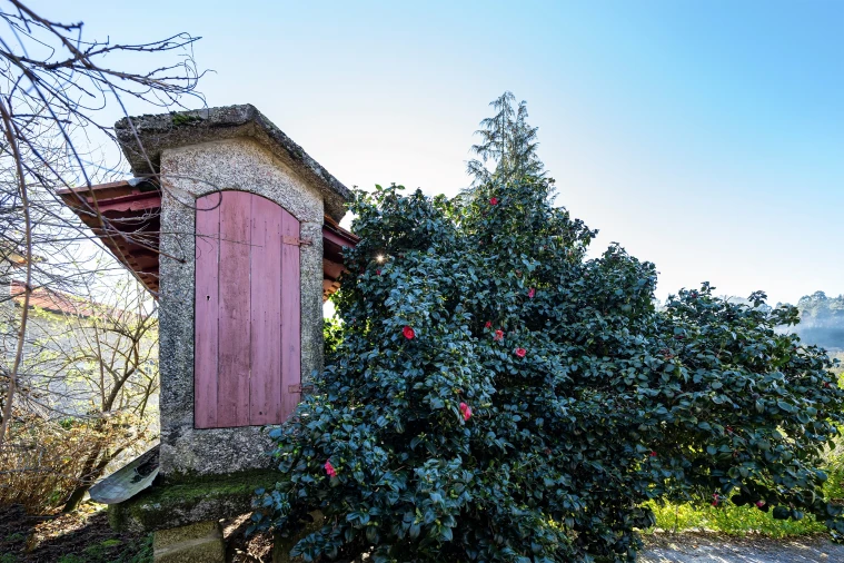 Quinta T13 para Venda em Rossas Foto 9