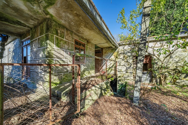 Quinta T13 para Venda em Rossas Foto 32