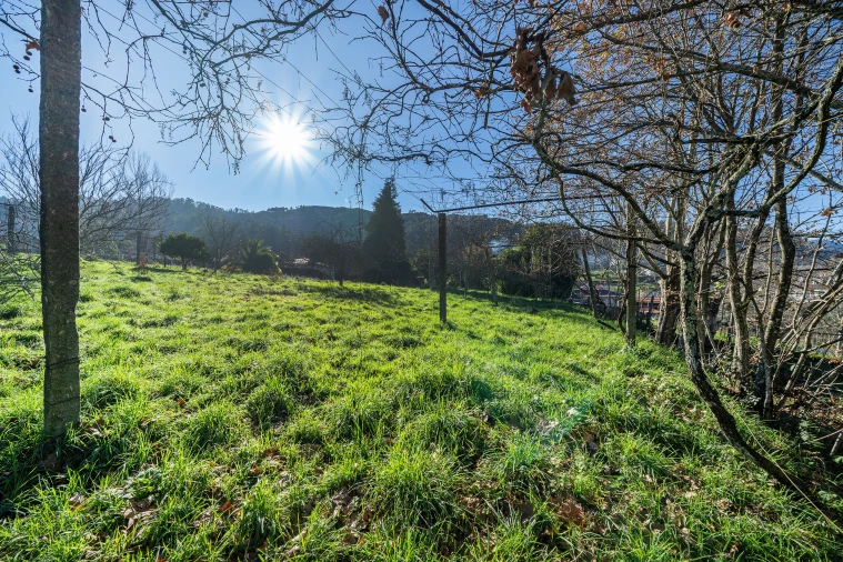 Quinta T13 para Venda em Rossas Foto 44