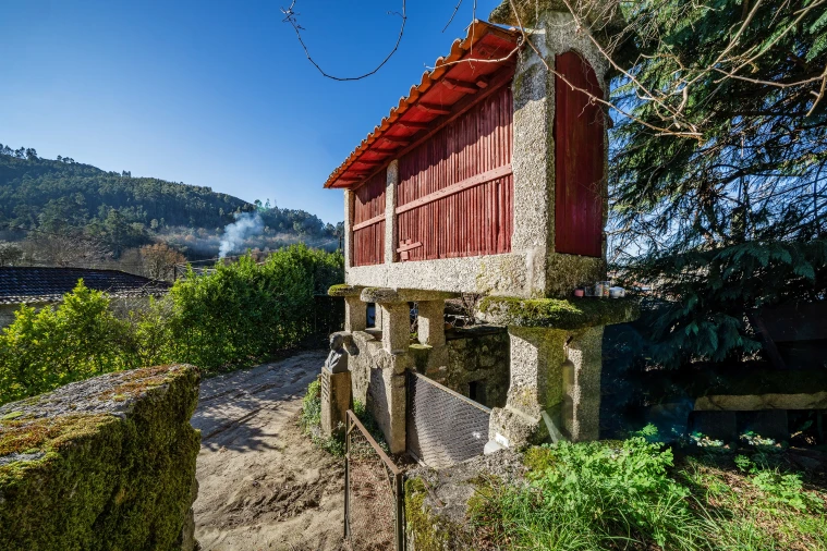 Quinta T13 para Venda em Rossas Foto 30