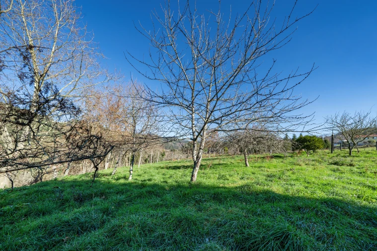 Quinta T13 para Venda em Rossas Foto 38