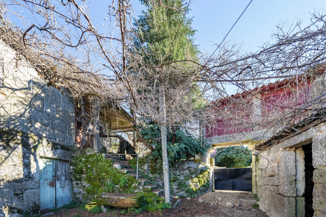 Quinta T13 para Venda em Rossas Foto 31