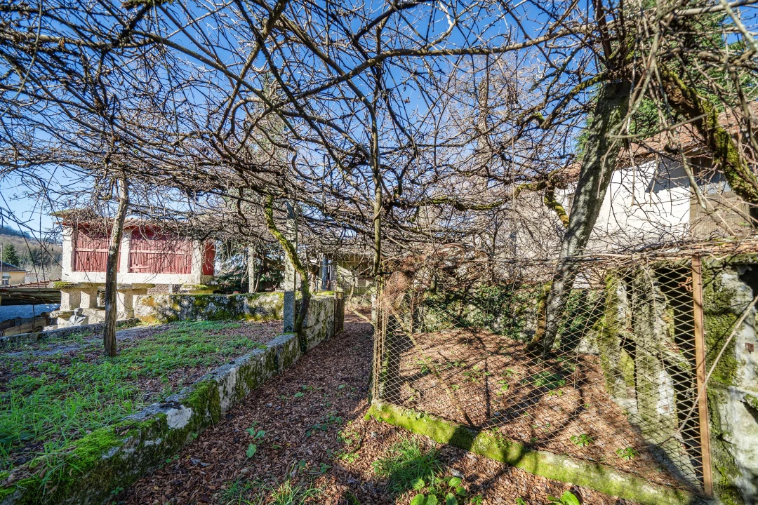 Quinta T13 para Venda em Rossas Foto 43