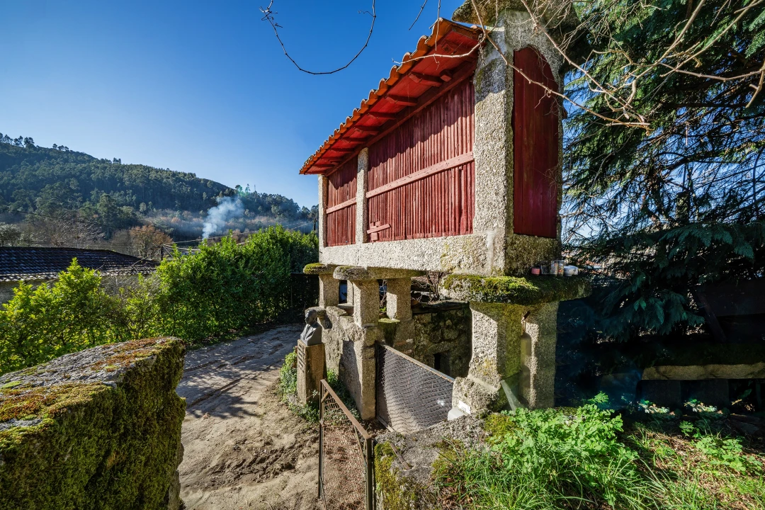 Quinta T13 para Venda em Rossas Foto 30