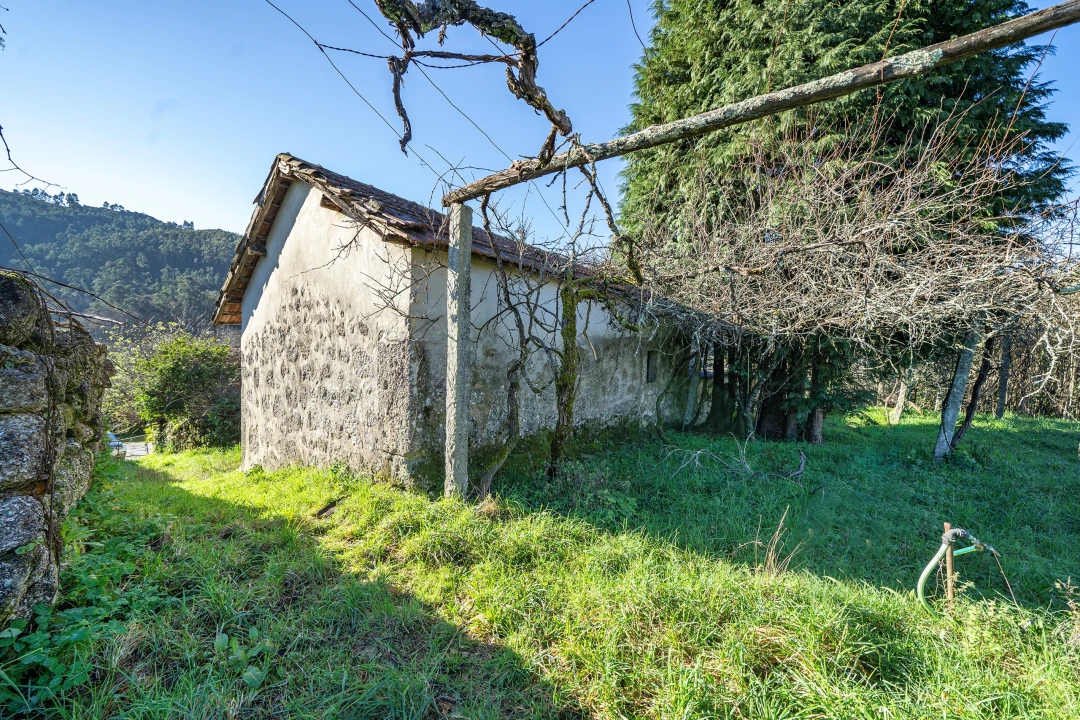 Quinta T13 para Venda em Rossas Foto 37