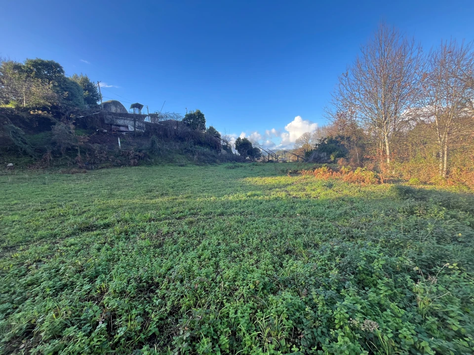Terreno para Venda em Areias de Vilar e Encourados Foto 8